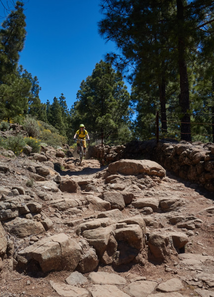 Typisk nybörjarstig 