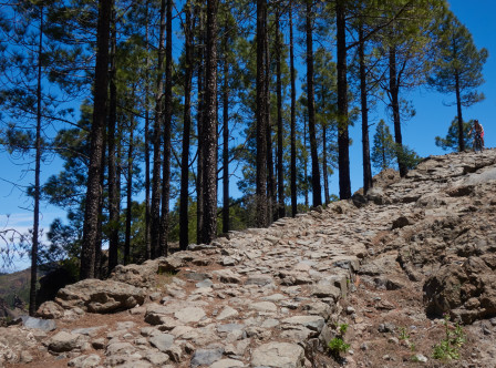 Stor syster lär sig cykla ut för stentrappestig