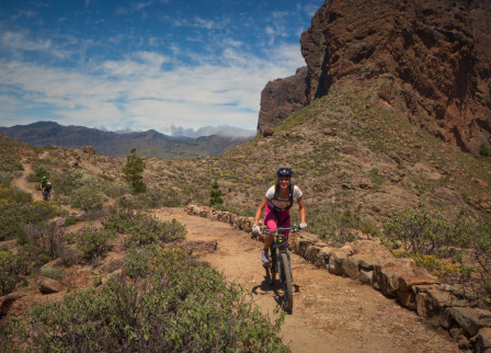 Stor syster peppar på slät slakmota