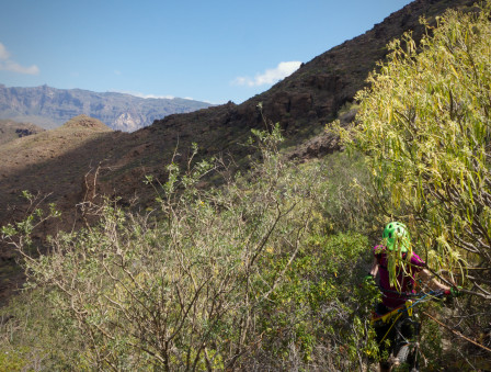 Vilsegång och krig på Gran Canaria