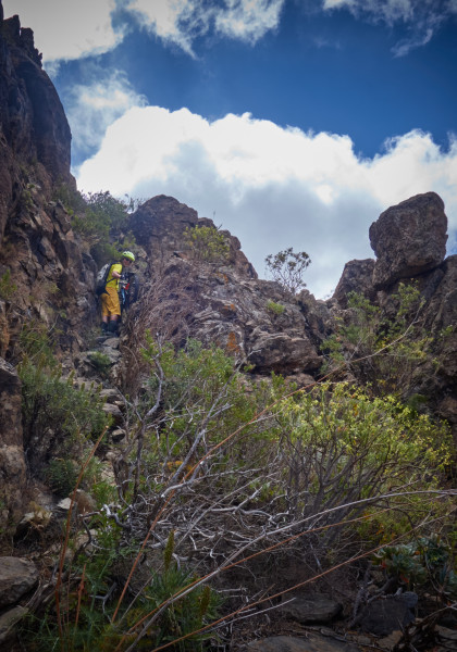 Ungefär här började jag allvarligt undra vad vi höll på med