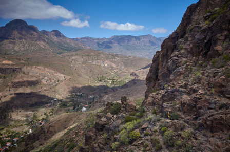 Liten stump i luftig terräng