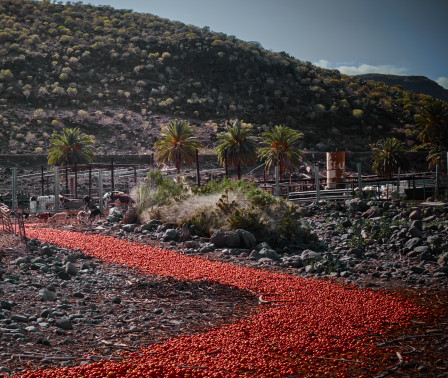 Vad är det här egentligen?