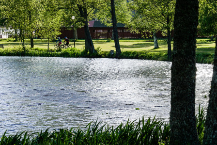 Vid bruksdammen i Högbo