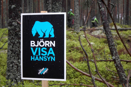 Hänsyn Björn.