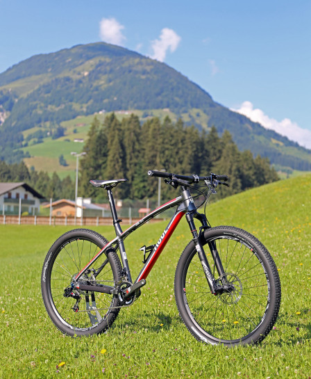 Rose Count Solo 2016