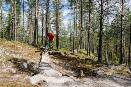 Spångutmaning längs klättringen på Gullia Spångutmaning längs klättringen på Gullia