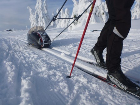 skidor1