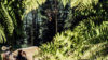 Kick-off med Anton Thelander inför Crankworx Rotorua Slopestyle