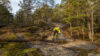 Långtidstest – GT Sensor 2019