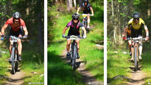 Bilder från Finnmarksturen 2019