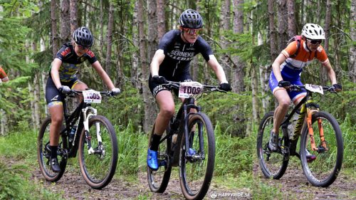 Bilder Engelbrektsturen 2019