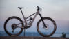 Revel Rascal – Lever rackarungen upp till sitt namn?