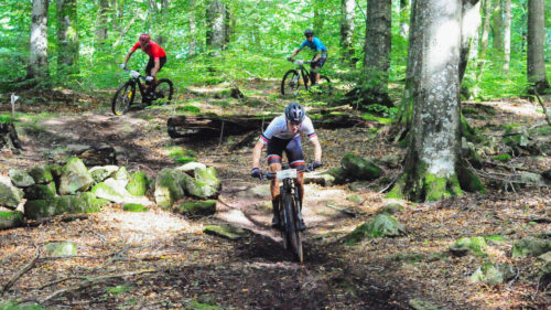 Bilder från Bockstensturen 2023