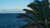 Gran Canaria – svenskens paradis under vintermånaderna